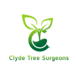 clyde tree surgeons 1 png