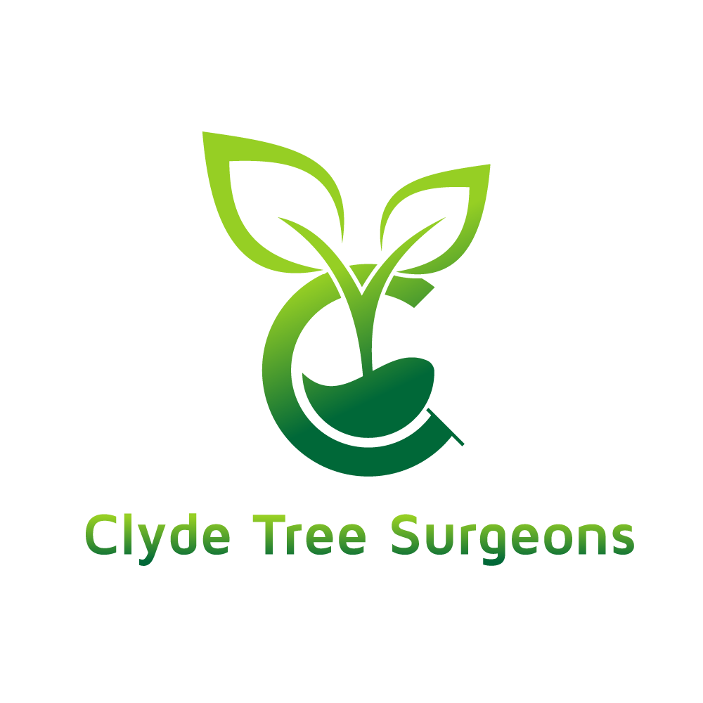 clyde tree surgeons 1 png